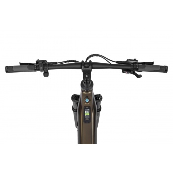 Rower elektryczny Ecobike SX 300 Green 29"/900Wh