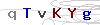 weryfikator