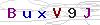 weryfikator