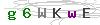 weryfikator